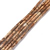 Natural Picture Jasper Beads Strands G-M389-12-1
