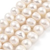 Natural Cultured Freshwater Pearl Beads Strands PEAR-C003-16E-1