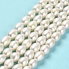 Natural Cultured Freshwater Pearl Beads Strands PEAR-E016-091-2