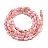 Freshwater Shell Beads Strands SHEL-T009-B15-02-2