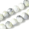 Electroplate Glass Beads Strands LAMP-S068-11F-1
