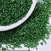 MIYUKI Delica Beads X-SEED-J020-DB0688-1