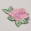 Computerized Embroidery Cloth Iron on/Sew on Patches DIY-WH0622-093C-2