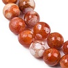 Natural Fire Crackle Agate Beads Strands G-G163-A01-04-9