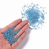 12/0 Glass Seed Beads X1-SEED-A007-2mm-163-4