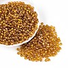 Picasso Baking Paint Glass Seed Beads SEED-N007-35C-1