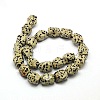 Natural Dalmatian Jasper Faceted Rhombus Beads Strands G-L235-12-2