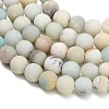 Natural Frosted Flower Amazonite Beads Strands GG-CBA6382-A04-8mm-02-3