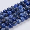 Natural Sodalite Beads Strands G-G515-6mm-07-1