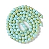 Baking Paint Glass Bead Strands GLAA-H031-01B-08-3