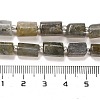 Natural Labradorite Beads Strands G-G068-A10-01-5