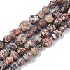 Natural Leopard Skin Jasper Beads Strands G-S363-032-1