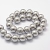Shell Pearl Beads Strands X-BSHE-L026-05-10mm-2