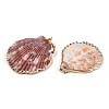 Electroplate Multicolor Sea Shell Pendants X-SSHEL-S262-31-4