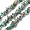 Natural Amazonite Chip Beads Strands G-M205-64-1-1