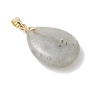 Natural Labradorite Pendants PALLOY-JF04953-4