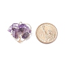 Natural Amethyst Pendants PALLOY-JF01449-02-2