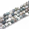 Natural Tree Agate Beads Strands G-T106-039-1