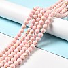 Synthetic Turquoise and Sea Shell Assembled Beads Strands X-G-D482-01C-06-1
