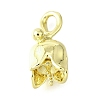 DIY Brass Peg Bails Pendants KK-V007-33G-1