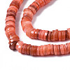 Natural Freshwater Shell Beads Strands SHEL-S278-025H-3