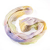 1 Skein Gradient Segment Dyed 80% Wool 20% Acrylic Blended Yarn OCOR-TA0003-02E-3