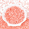 Glass Bugle Beads SEED-N007-28K-2