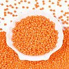 Baking Paint Glass Seed Beads SEED-N007-30H-2