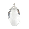 Glass Big Pendants PALLOY-JF02207-2