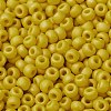 MIYUKI Round Rocailles Beads X-SEED-G008-RR2311-3