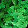 Luminous Opaque Acrylic Beads OACR-G052-11D-3