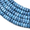 Synthetic Turquoise Beads G-G317-A28-3X6MM-5