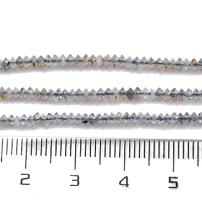 Natural Labradorite Beads Strands G-G188-A01-01-1