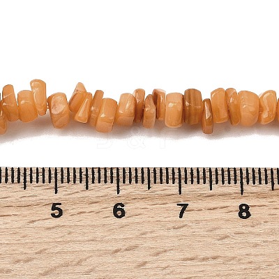 Natural Freshwater Shell Beads SHEL-B003-01H-1