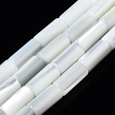 Natural Trochid Shell/Trochus Shell Beads Strands SSHEL-S266-020A-04-1