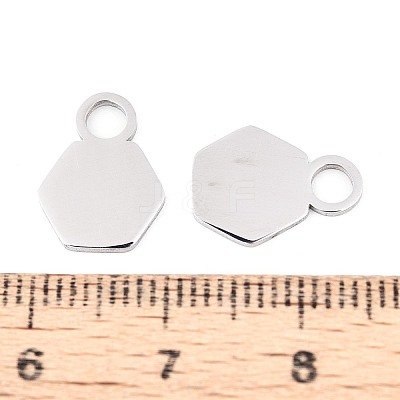304 Stainless Steel Charms LS-STAS-T070-13P-1