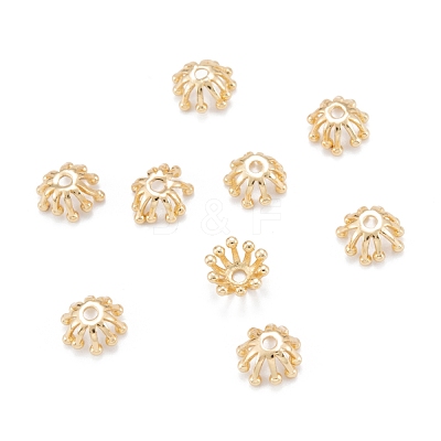 Brass Multi-Petal Bead Caps KK-K251-06G-1