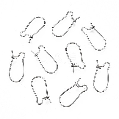 Tarnish Resistant 304 Stainless Steel Hoop Earring Findings STAS-S117-008A-01-1