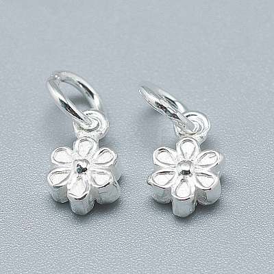 925 Sterling Silver Charms X-STER-T002-104S-1