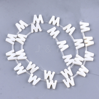 Freshwater Shell Beads X-SHEL-T012-59W-1