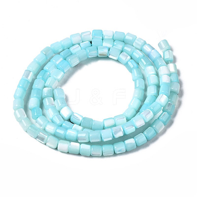 Natural Trochid Shell/Trochus Shell Bead Strands SSHEL-N034-77-C04-1