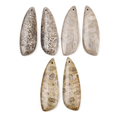 Natural Fossil Coral Pendants G-B187-01C-04-1