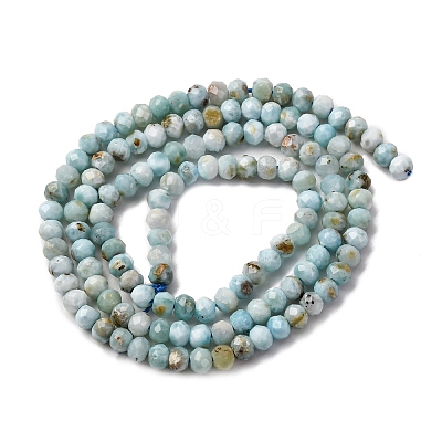 Natural Larimar Beads Strands G-F803-B01-02-1