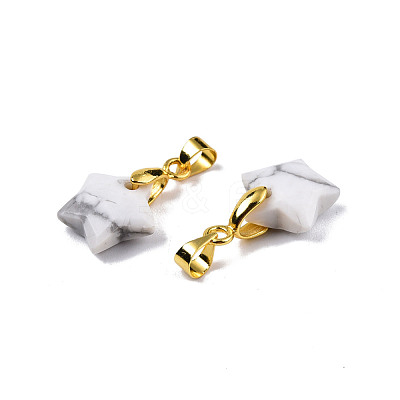 Natural Howlite Charms G-N326-142-10-1