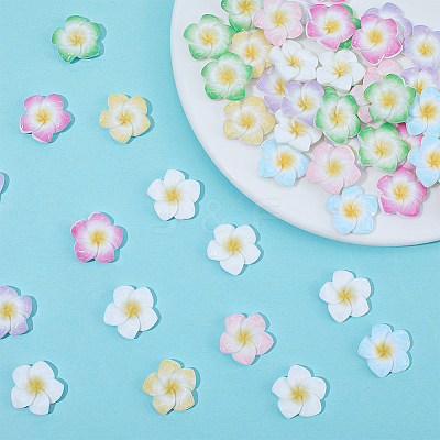 Plumeria Flower Opaque Resin Cabochons CRES-BM0001-01A-1