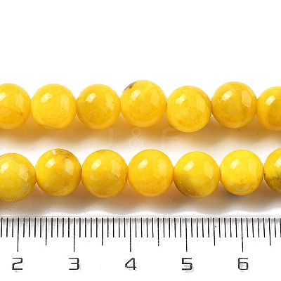 Natural Persian Jade Beads Strands G-A255-A02-02I-1