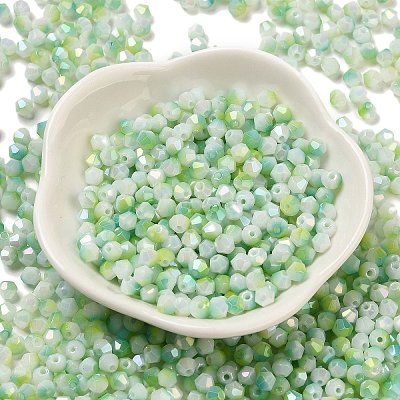 Two Tone Baking Paint Glass Seed Beads SEED-C004-03E-1