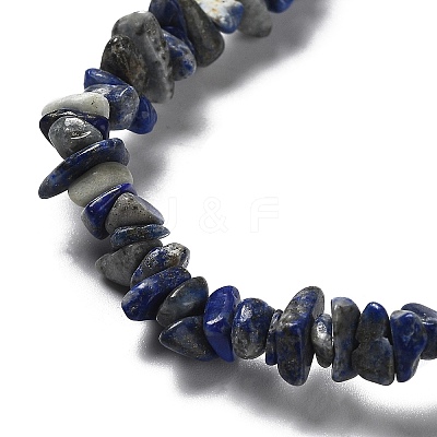 Natural Lapis Lazuli Beads Strands G-E607-A01-1
