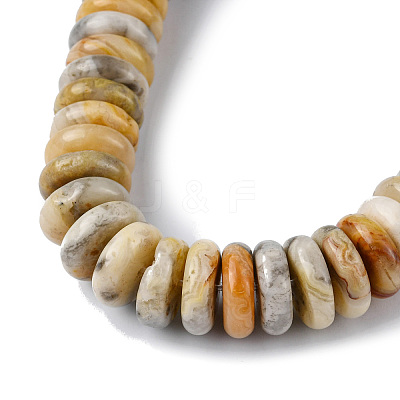 Natural Crazy Lace Agate Beads Strands G-F743-06J-1