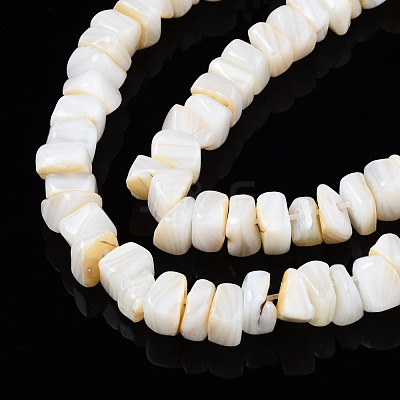 Natural Freshwater Shell Beads Strands SHEL-S278-042-1